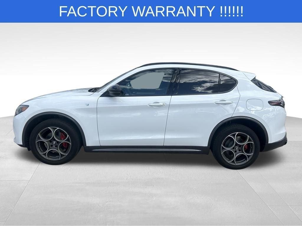 used 2024 Alfa Romeo Stelvio car, priced at $34,466