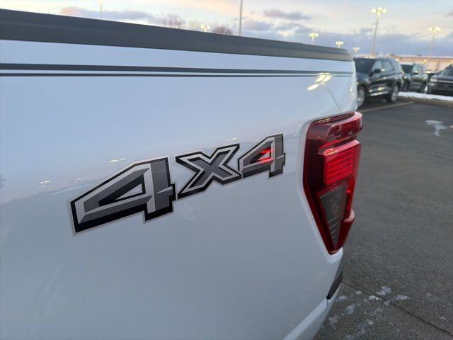 new 2025 Ford F-150 car