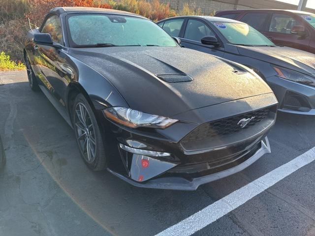 used 2019 Ford Mustang car, priced at $20,998