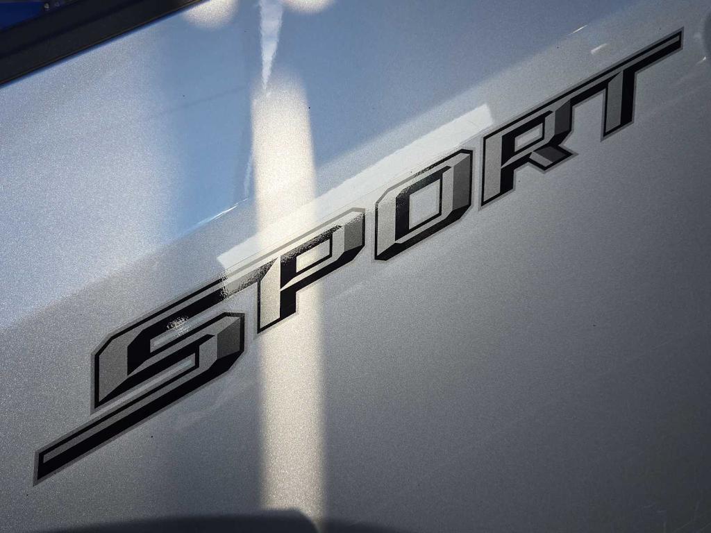 used 2019 Ford F-150 car