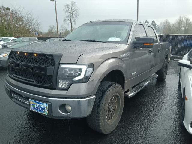 used 2014 Ford F-150 car