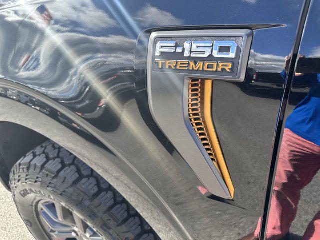 used 2024 Ford F-150 car