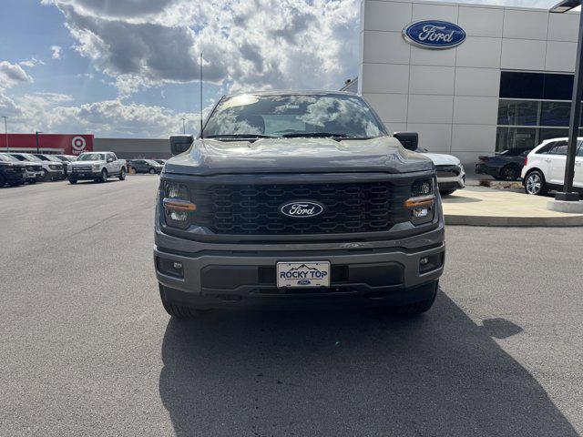 new 2025 Ford F-150 car, priced at $48,995