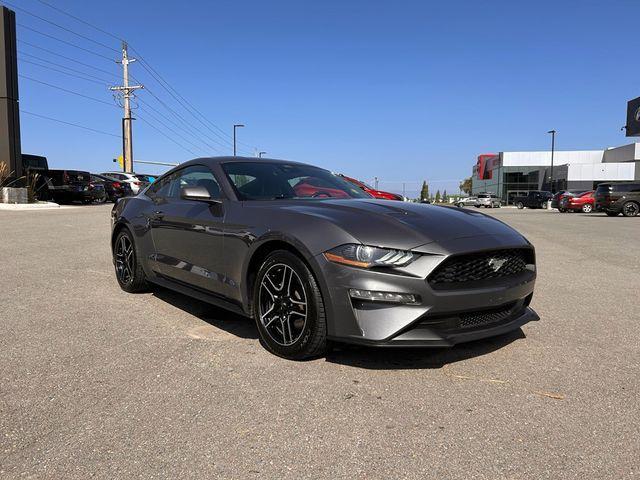 used 2023 Ford Mustang car, priced at $22,879