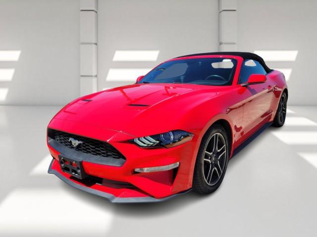 used 2021 Ford Mustang car, priced at $21,255