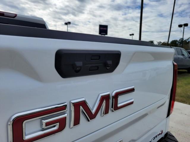 new 2025 GMC Sierra 1500 car, priced at $67,605