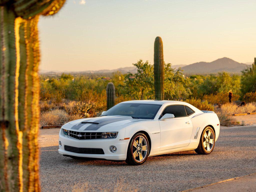 used 2010 Chevrolet Camaro car, priced at $57,900