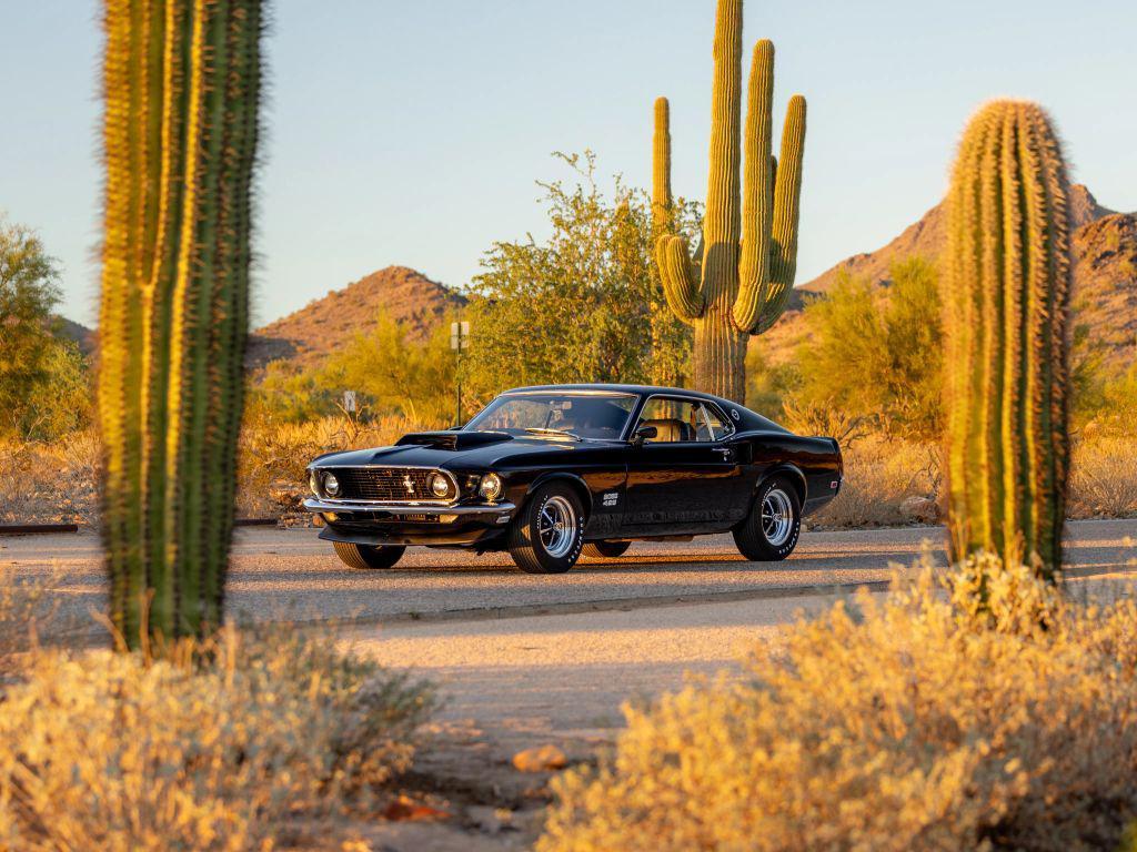 used 1969 Ford Mustang car