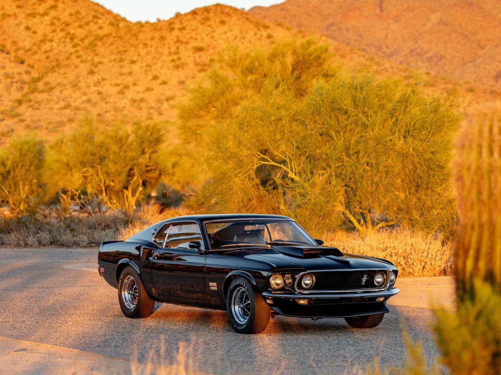 used 1969 Ford Mustang car