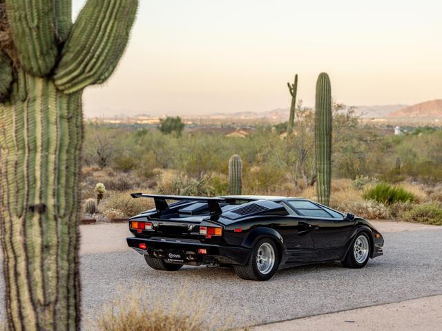 used 1989 Lamborghini Countach car