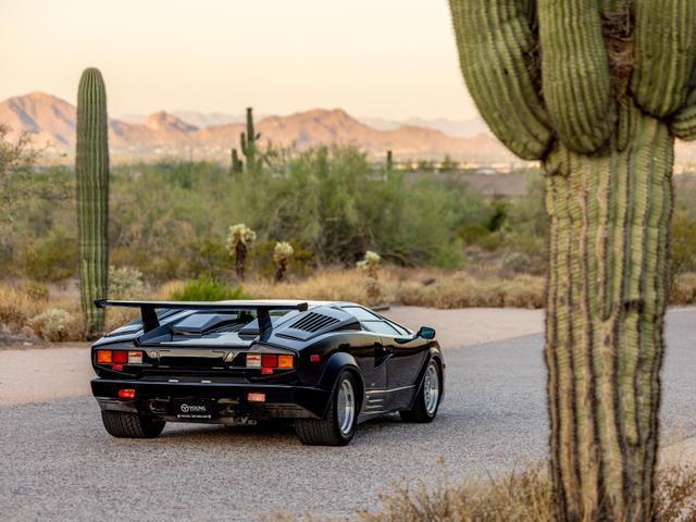 used 1989 Lamborghini Countach car