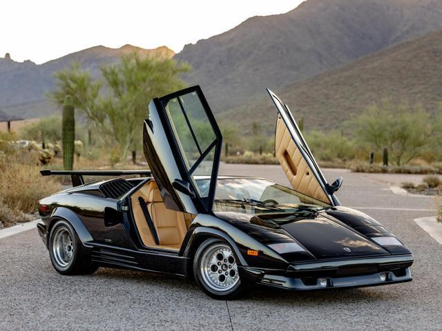 used 1989 Lamborghini Countach car