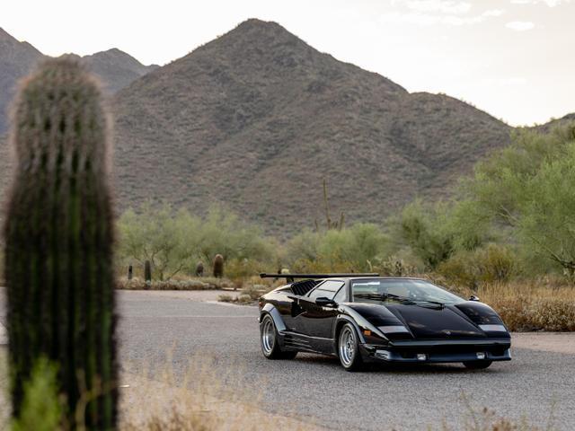 used 1989 Lamborghini Countach car