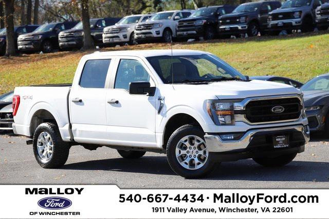 used 2023 Ford F-150 car, priced at $37,878