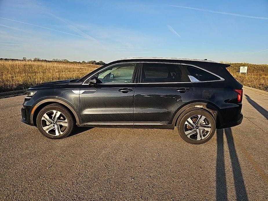 used 2024 Kia Sorento Hybrid car, priced at $35,987