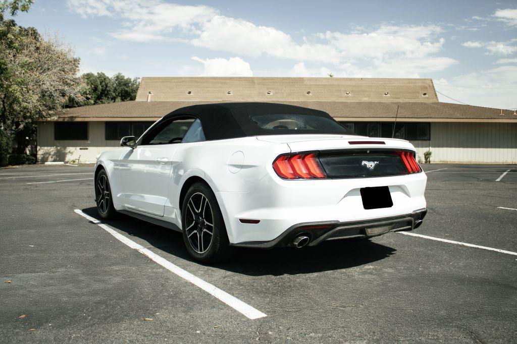 used 2019 Ford Mustang car, priced at $18,995