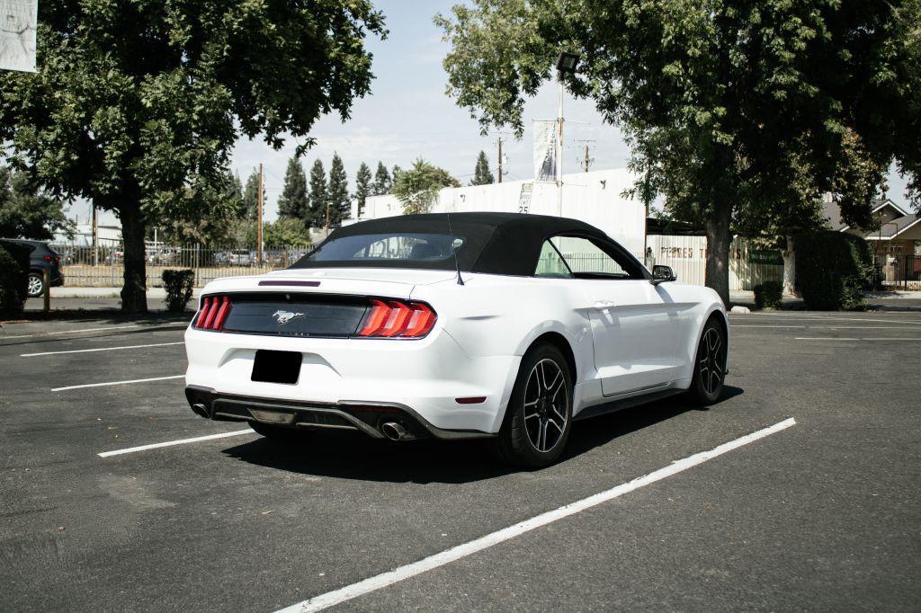 used 2019 Ford Mustang car, priced at $18,995