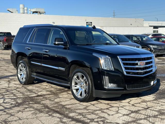 used 2017 Cadillac Escalade car, priced at $34,995