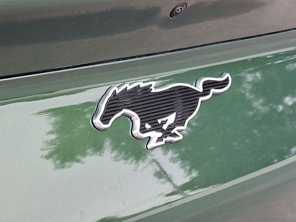 new 2025 Ford Mustang Mach-E car, priced at $52,954