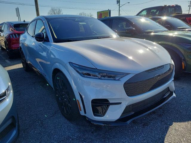 new 2023 Ford Mustang Mach-E car, priced at $69,000