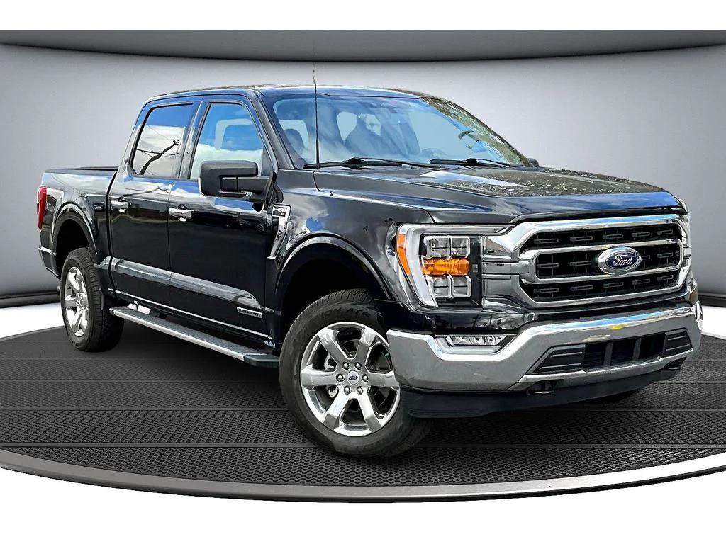 used 2023 Ford F-150 car