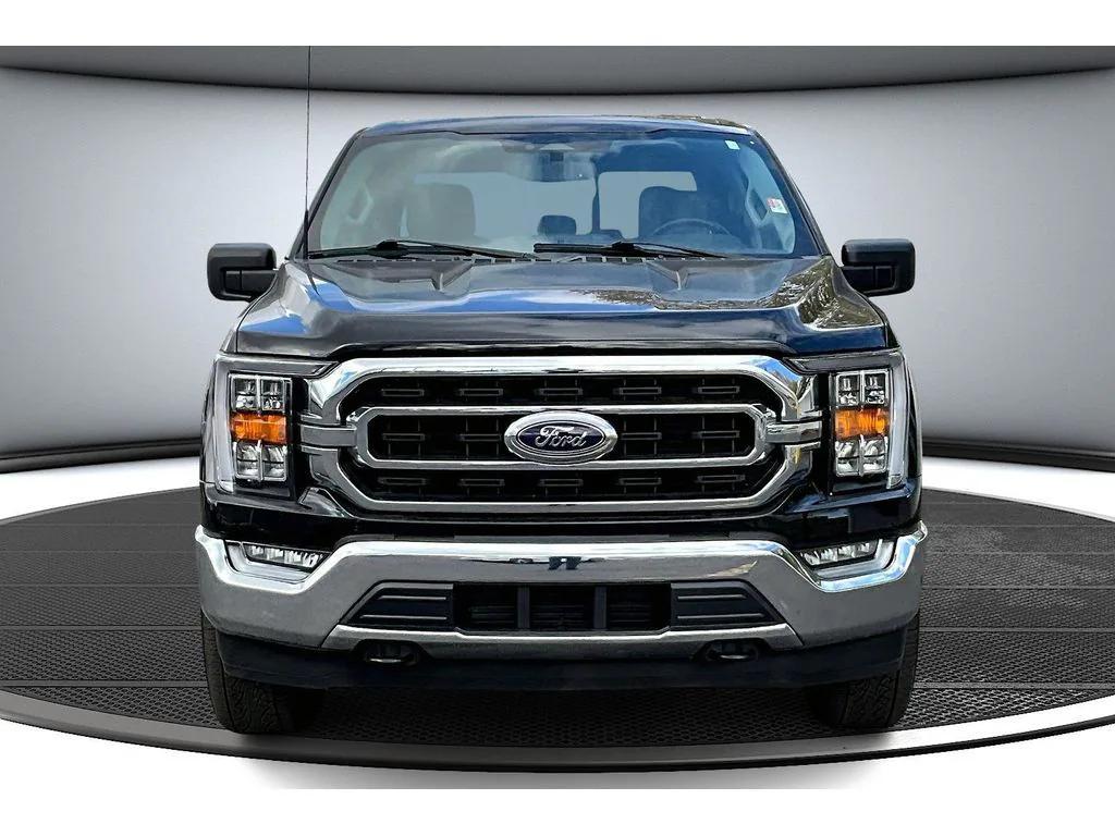 used 2023 Ford F-150 car