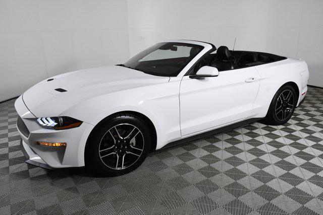 used 2022 Ford Mustang car, priced at $22,998