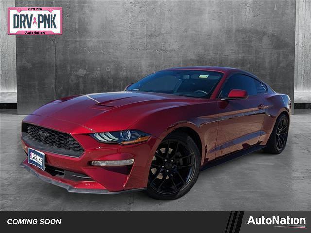 used 2019 Ford Mustang car, priced at $22,838