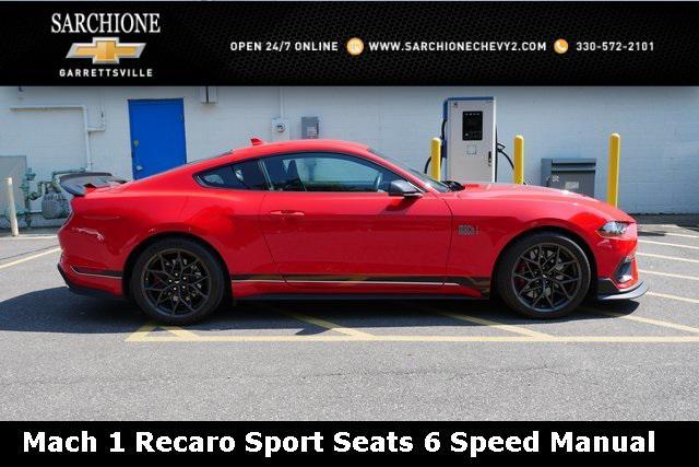 used 2021 Ford Mustang car