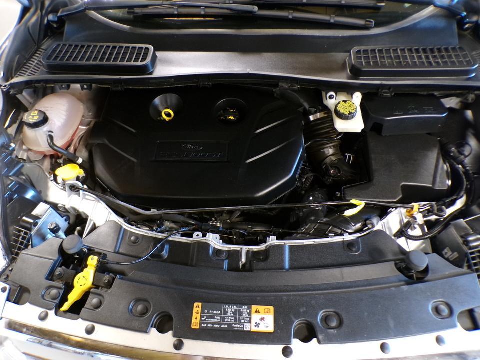 used 2019 Ford Escape car, priced at $18,995