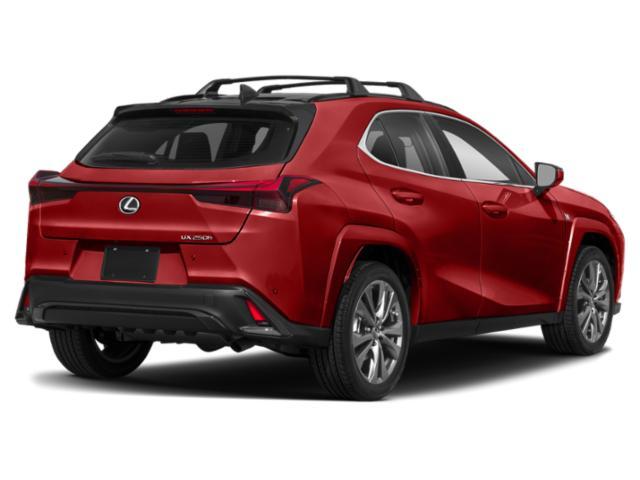 new 2024 Lexus UX 250h car