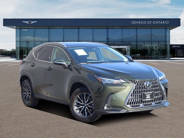 used 2024 Lexus NX 350 car, priced at $45,188