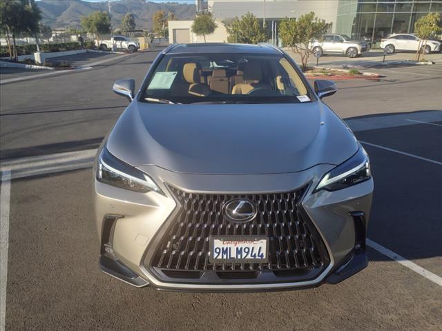 used 2025 Lexus NX 250 car, priced at $39,995