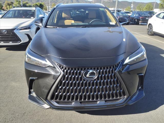 new 2025 Lexus NX 350 car, priced at $50,964