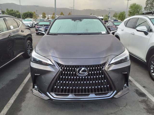 new 2025 Lexus NX 250 car, priced at $45,159