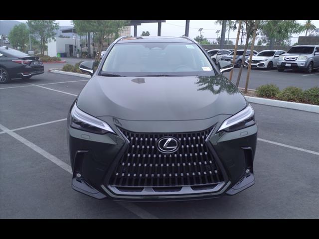 new 2025 Lexus NX 350 car, priced at $56,940