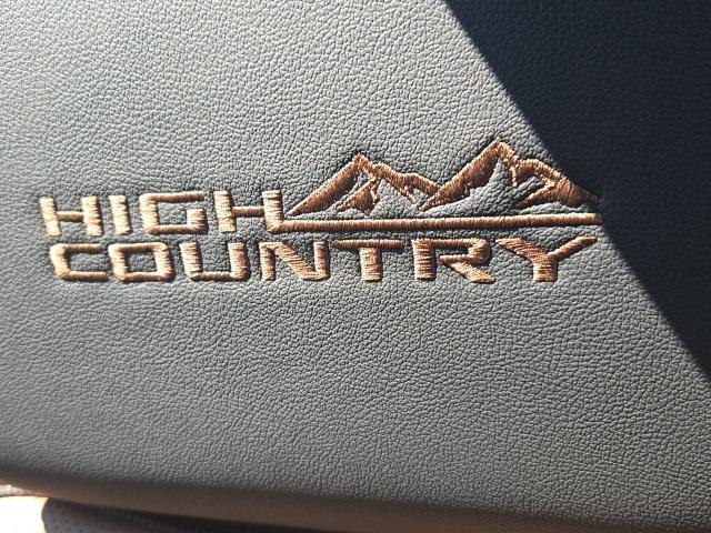 new 2025 Chevrolet Silverado 1500 car, priced at $69,695