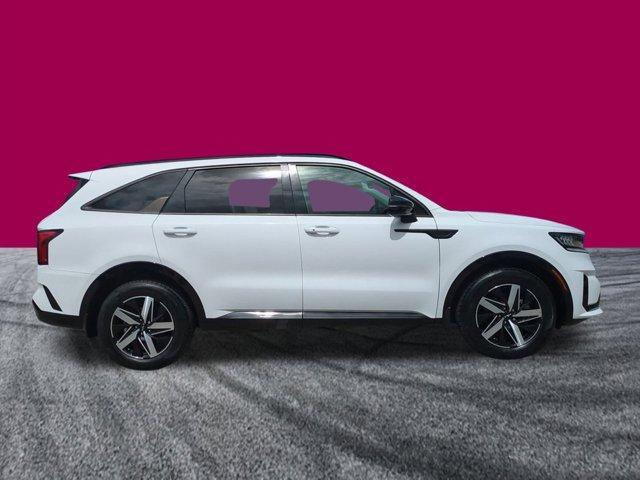 used 2023 Kia Sorento car, priced at $23,379