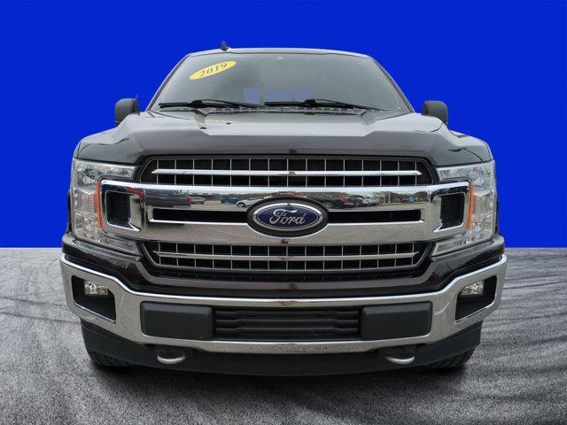 used 2019 Ford F-150 car, priced at $24,998