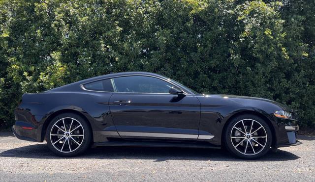 used 2022 Ford Mustang car