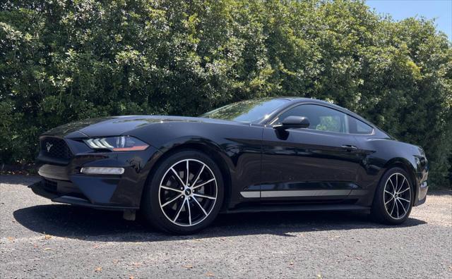 used 2022 Ford Mustang car