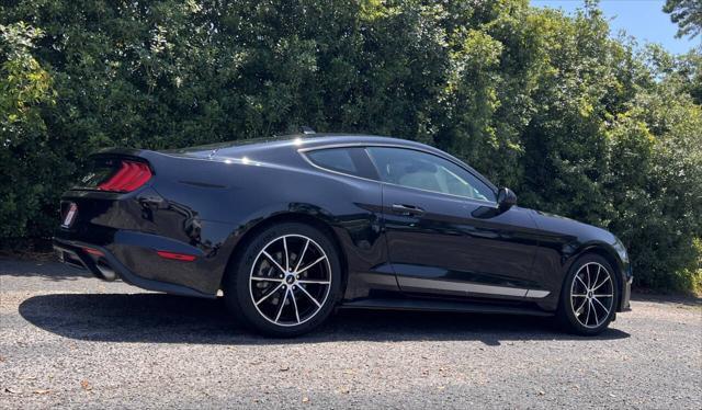 used 2022 Ford Mustang car