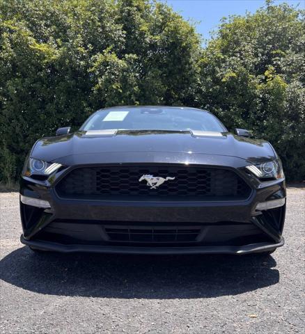 used 2022 Ford Mustang car