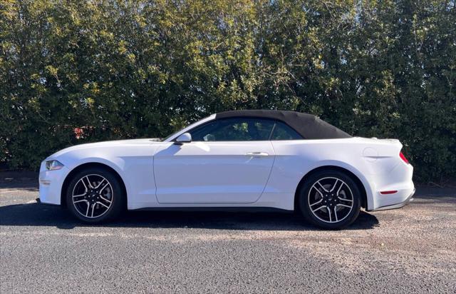 used 2021 Ford Mustang car, priced at $21,900