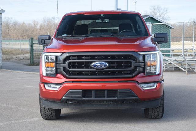 used 2023 Ford F-150 car, priced at $41,000