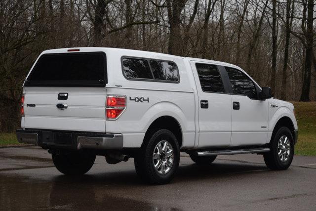 used 2013 Ford F-150 car, priced at $10,000