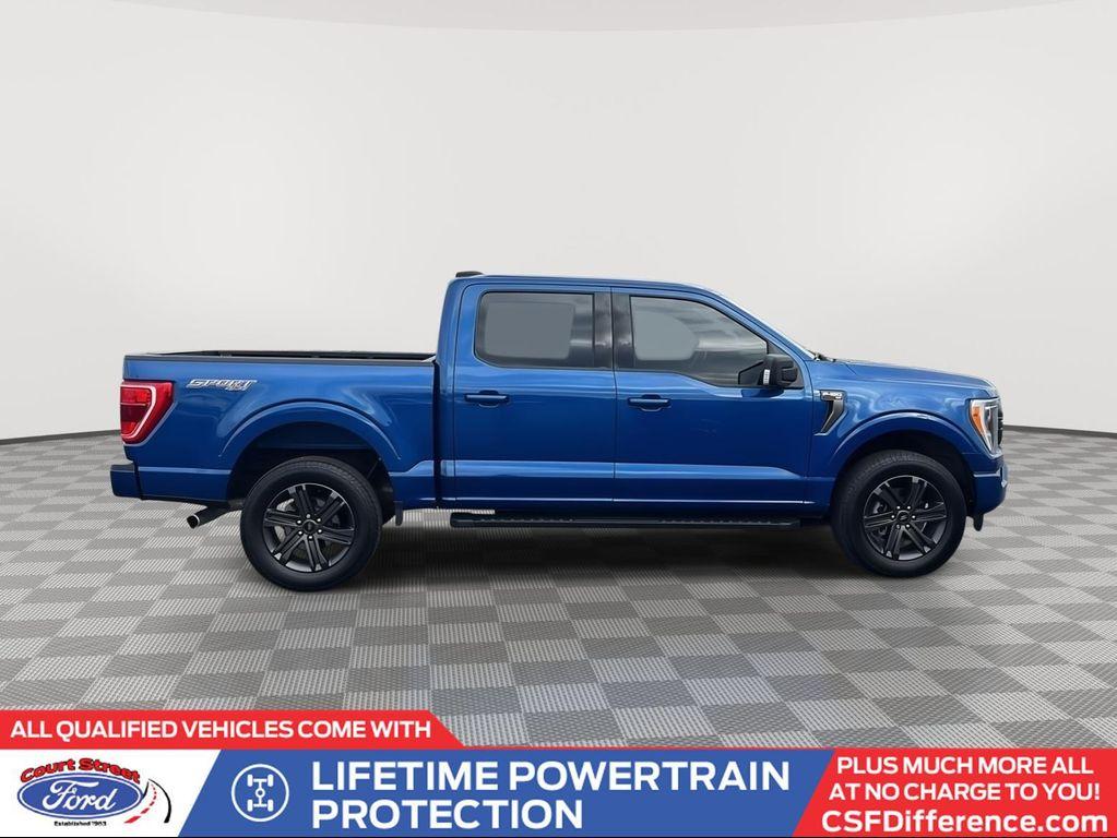 used 2023 Ford F-150 car, priced at $43,845