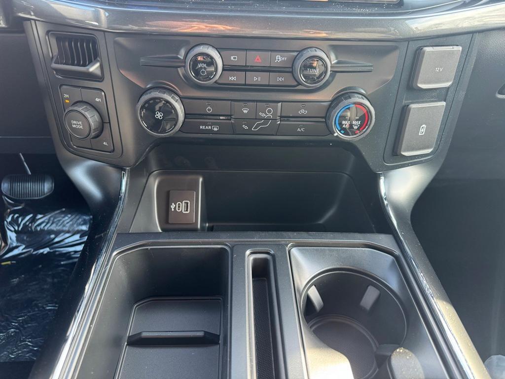 new 2025 Ford F-150 car