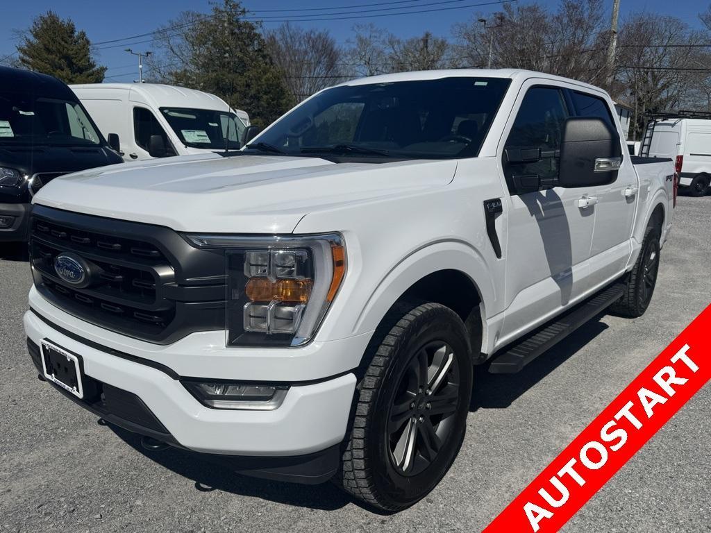 used 2023 Ford F-150 car, priced at $49,500