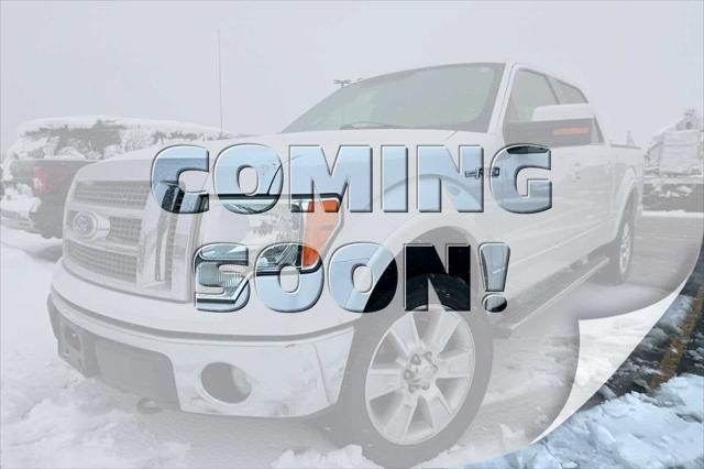 used 2010 Ford F-150 car